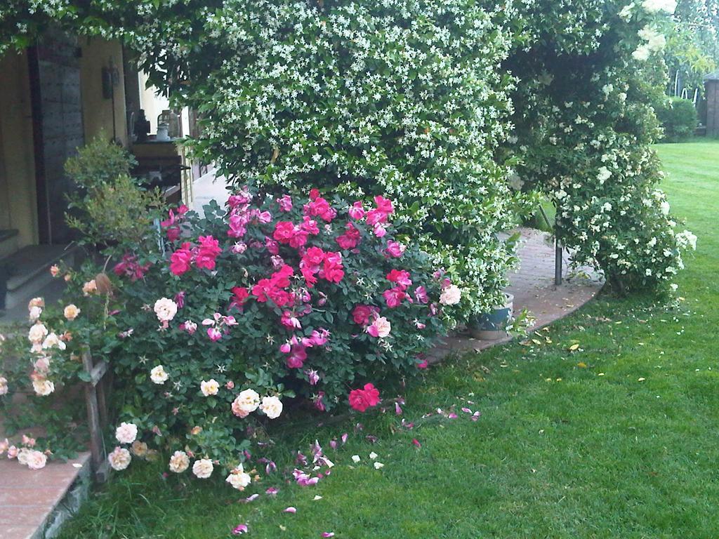 Apartament Casa Del Bosco Busca Zewnętrze zdjęcie